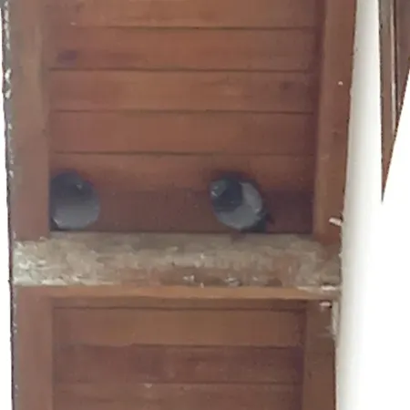 Casa Idilica