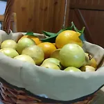 Casa Idílica