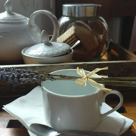 Casa Idilica בית אירוח הורטה