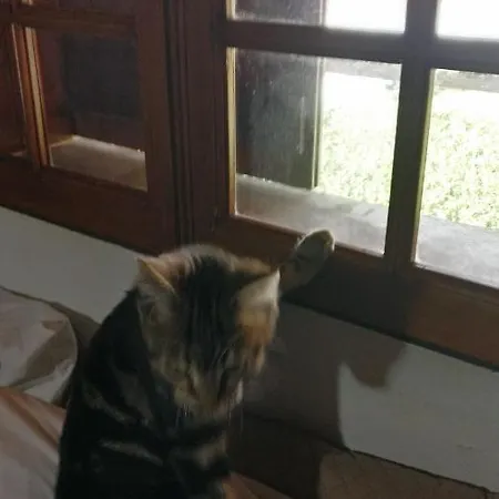 Casa Idilica Alloggio in famiglia Horta (Azores)