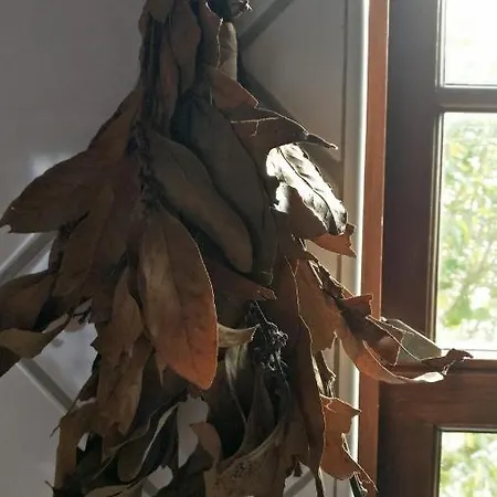 Casa Idilica ホームステイ オルタ