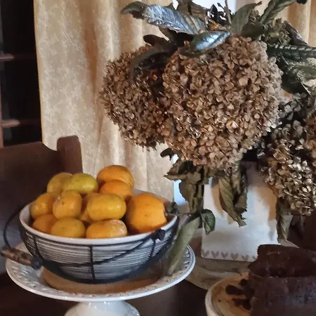 בית אירוח Casa Idilica *