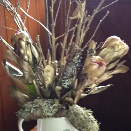 Casa Idilica בית אירוח הורטה