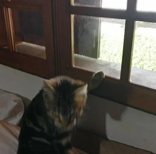 Casa Idilica 홈스테이 오르타