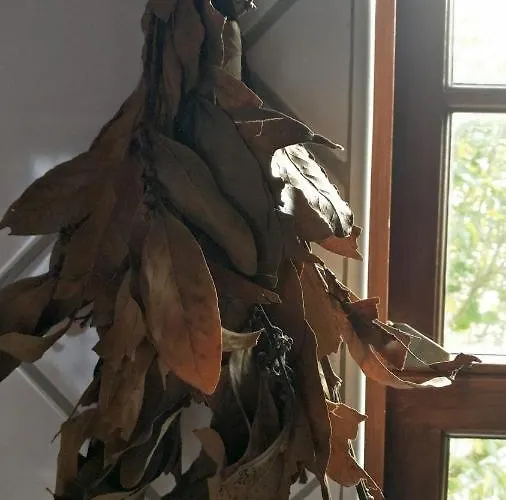 Casa Idilica 홈스테이 오르타