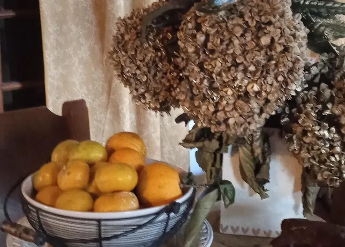 홈스테이 Casa Idilica *