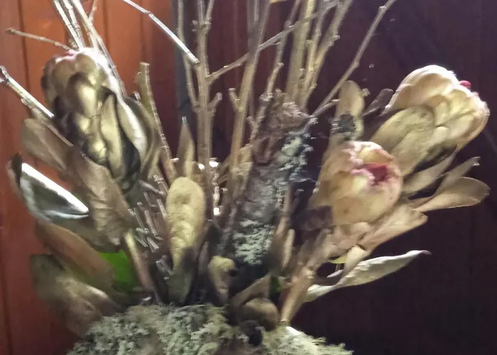 Casa Idilica 홈스테이 오르타