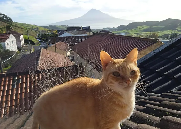 Homestay Casa Idilica Horta (Azores)